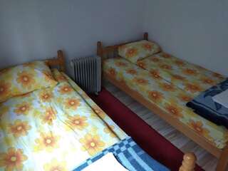 Апартаменты Apartman Jezera Жабляк Апартаменты с 1 спальней-22